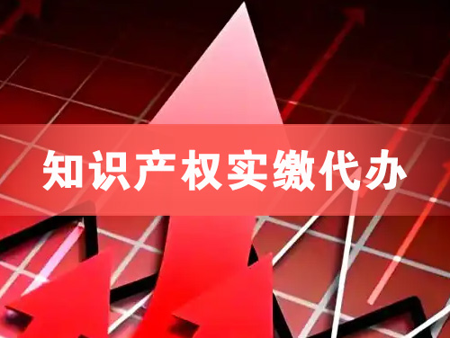 中卫知识产权实缴资本代办